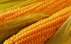 US pledges $16 billion in aid for farmers