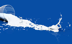 Raise a glass on world milk day- South Africa