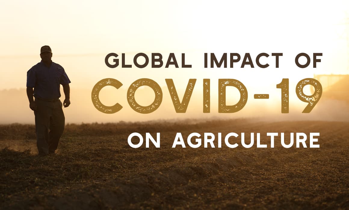 Impact of COVID-19 on Agriculture-