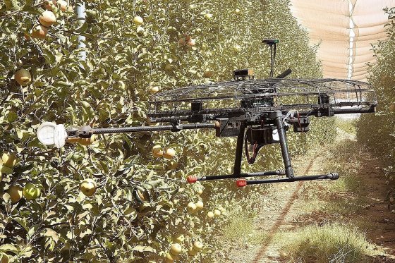 Drone harvesting? Yes you can!