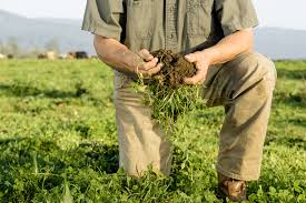 Starve the farm attackers before they starve the country- South Africa