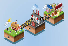 Can collective action cure what’s ailing our food systems?