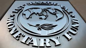 South Africans should accept that the IMF is neither their worst enemy nor their saviour