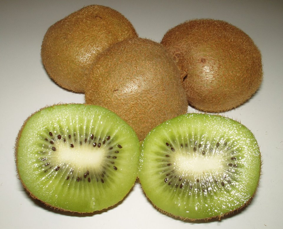 Interest from European companies in partnering with South African kiwi growers