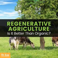 Regenerative Agriculture: Sowing Health, Sustainability and Climate Stability