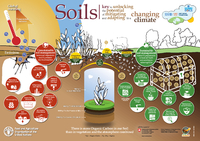 To restore the soils, feed the microbes