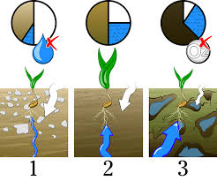 KEEP SOIL ALIVE PROTECT SOIL BIODIVERSITY