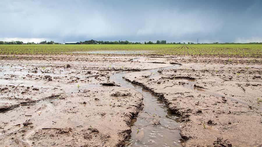 Stop soil erosion