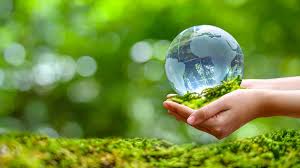 The Top Positive Environmental News Stories from 2021