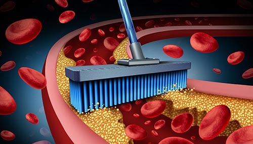 Your Guide to Fasting and Cellular Detox