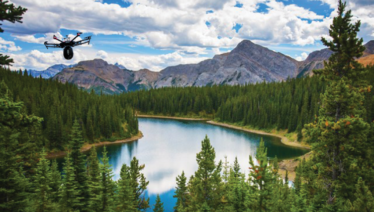 These Drones Will Plant 1 Billion Trees in Just 8 Years