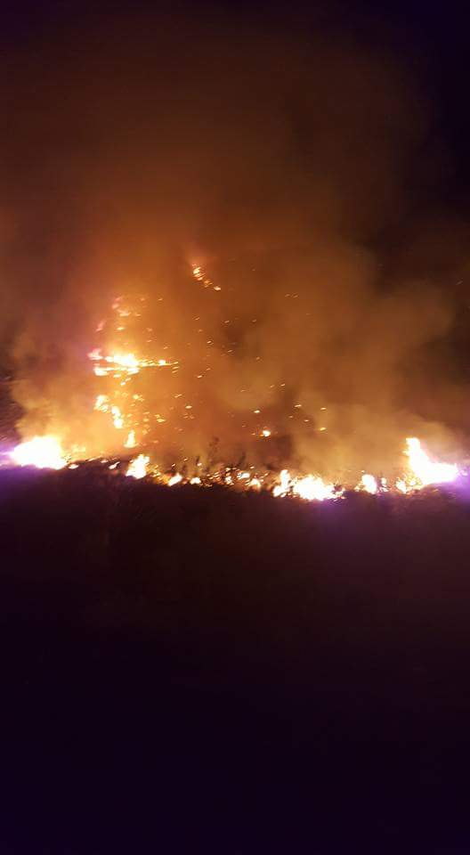 The burning season: Wildfires sweeping across South Africa and Namibia have left devastation in their wake