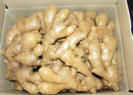 Ginger Prices in China Plummet by up to 90% and apples in the UK