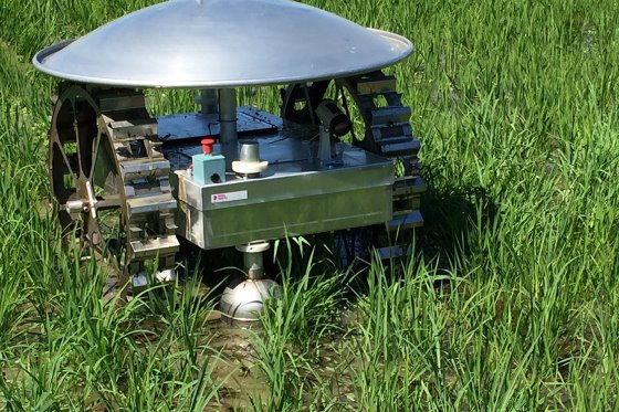 Moondino rice paddy robot for autonomous weeding