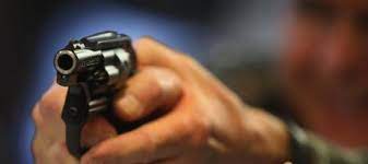 Legal gun ownership is inversely correlated with gun crime