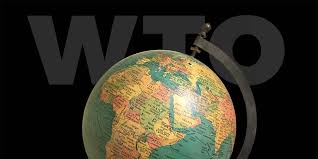 Trade policy is the rotten apple spoiling agricultural exports despite advances