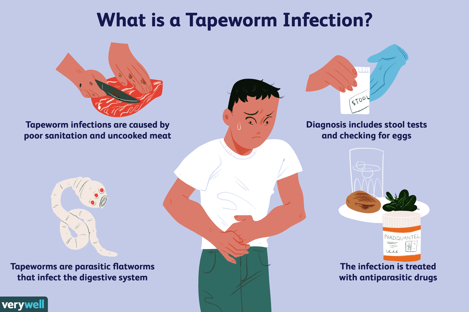 Tapeworm is spreading in Kenya – demand for meat brings parasite to new areas