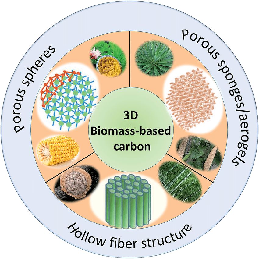 Biotechnology and biodiversity in Africa