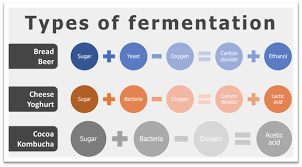 What Consumers Should Ask About Precision Fermentation