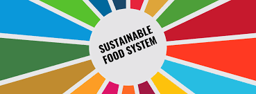 Food systems are built in the market and on farms, not in cozy offices