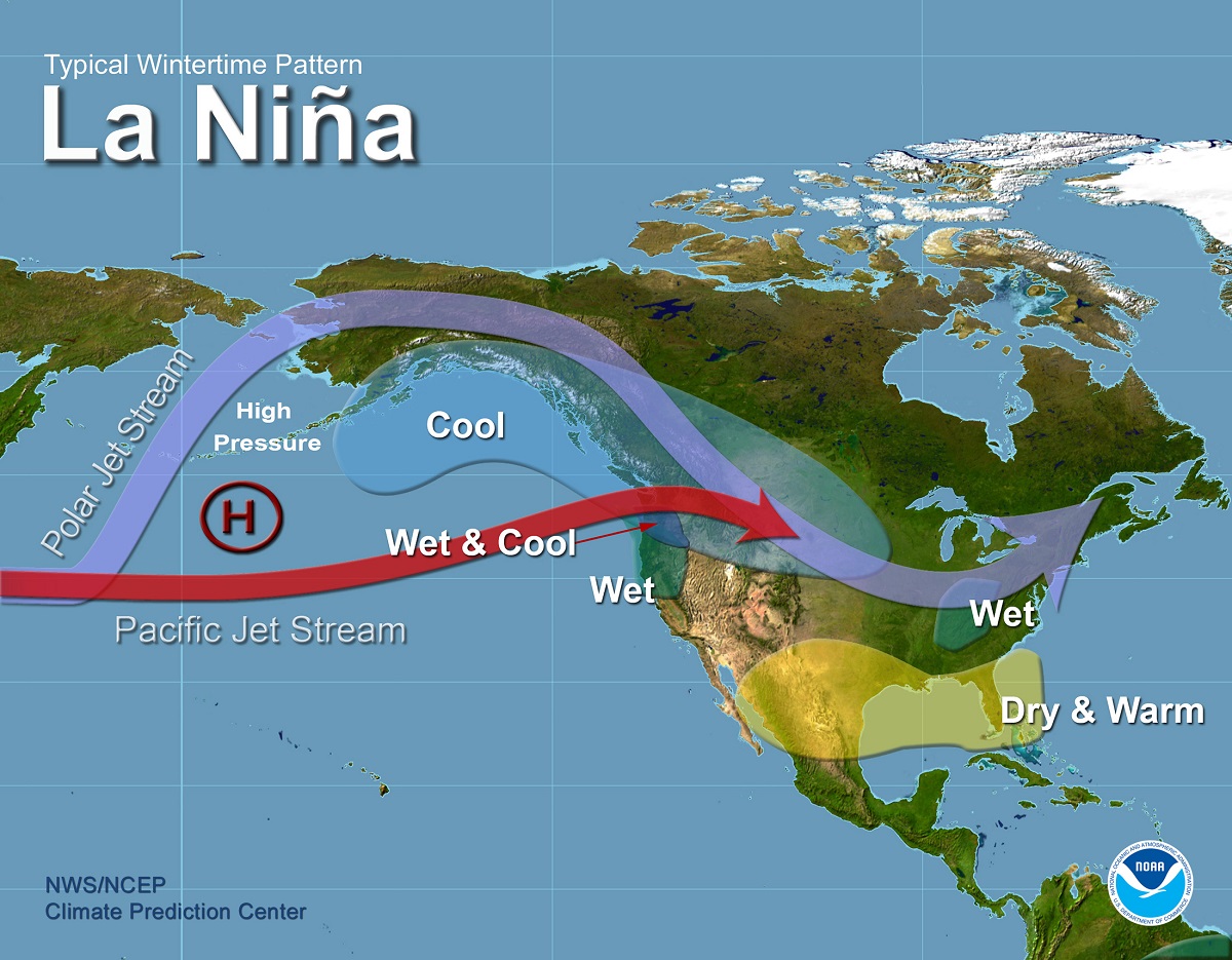 La Niña prospects grow, heralding wet weather along with increased risk of flooding