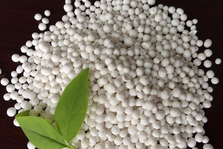 When Does a Fertilizer Shock Actually End?