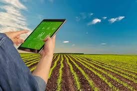 Leading global agricultural producers must avoid export restrictions