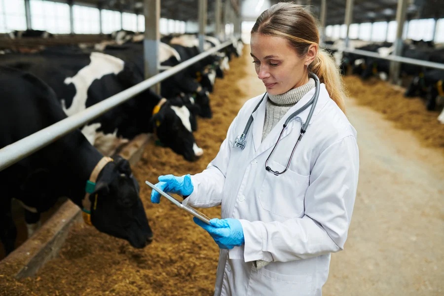 South Africa’s livestock industry and biosecurity challenges