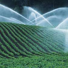 The Effect of BEE on Farmers in South Africa with Water Licences