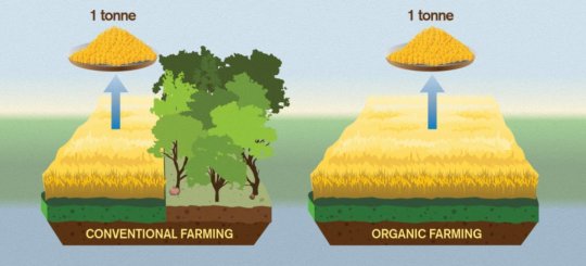 Is Organic Food Really Better for the Environment?