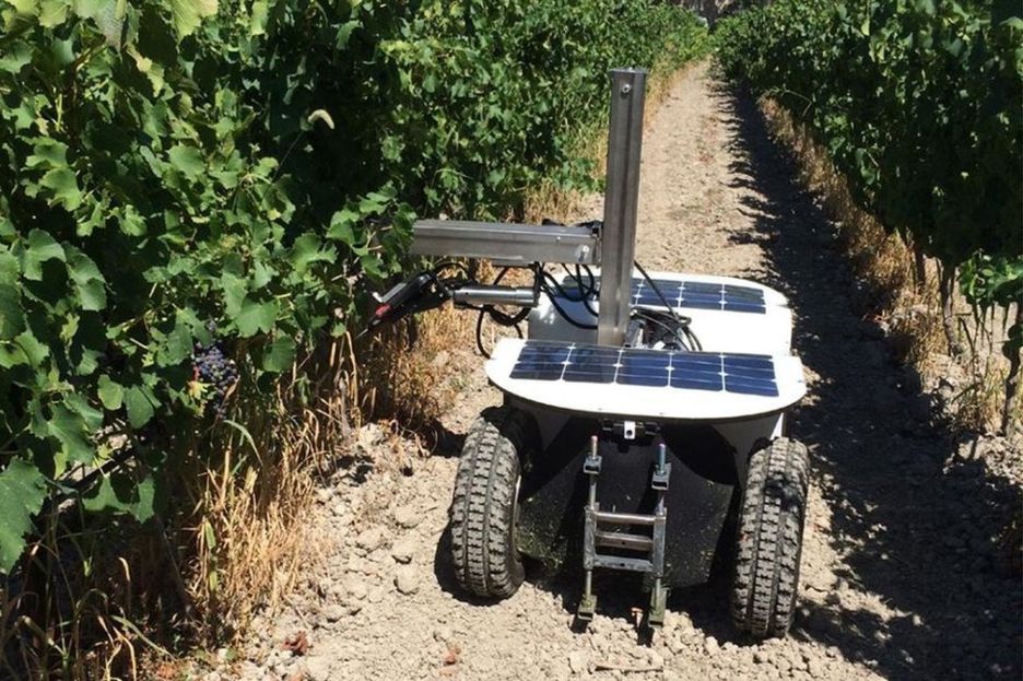 Demand for agricultural robots to increase sharply
