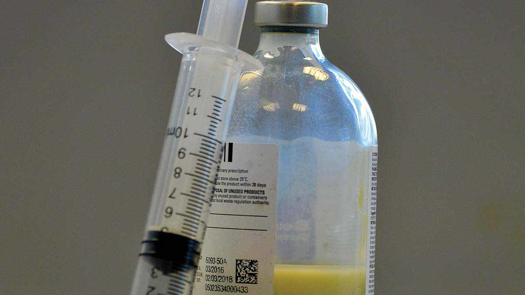 What’s Next for Antibiotics in Agriculture?