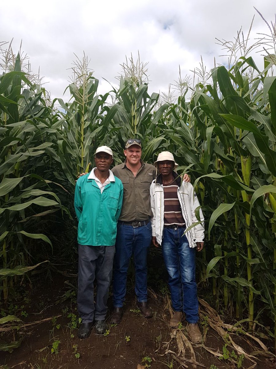 Hi-tech will reap harvest for South Africa  farming