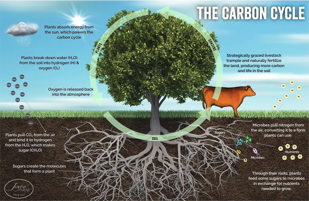 What is Carbon Farming?