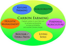 How carbon farming could halt climate change