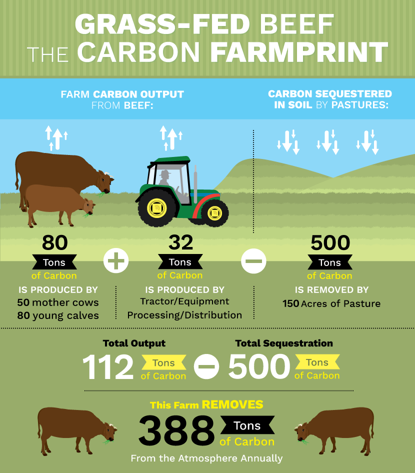 Making money from soil carbon storage is a long way off