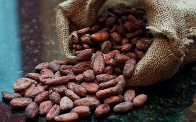 Hershey establishing higher cocoa sourcing visibility