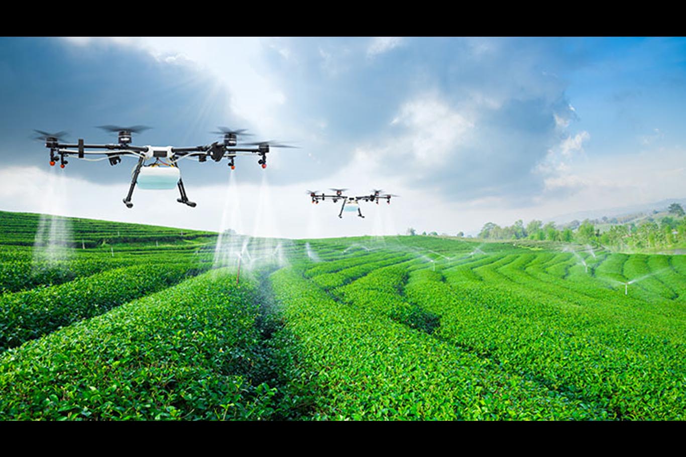 Responsible innovation is key to smart farming