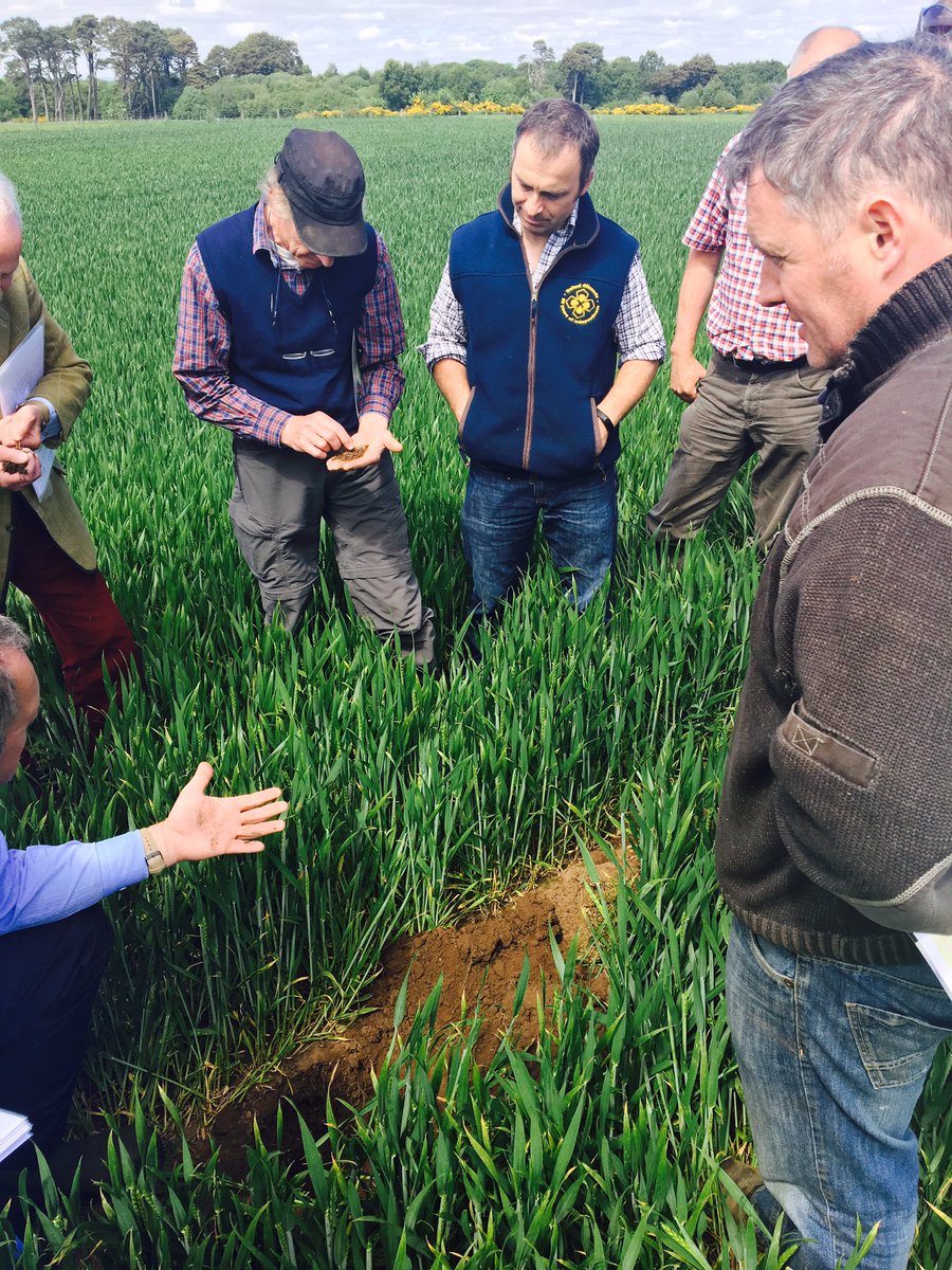  South Africa  Agriculture is a showcase and a economic contribution and potential to South Africa and Africa