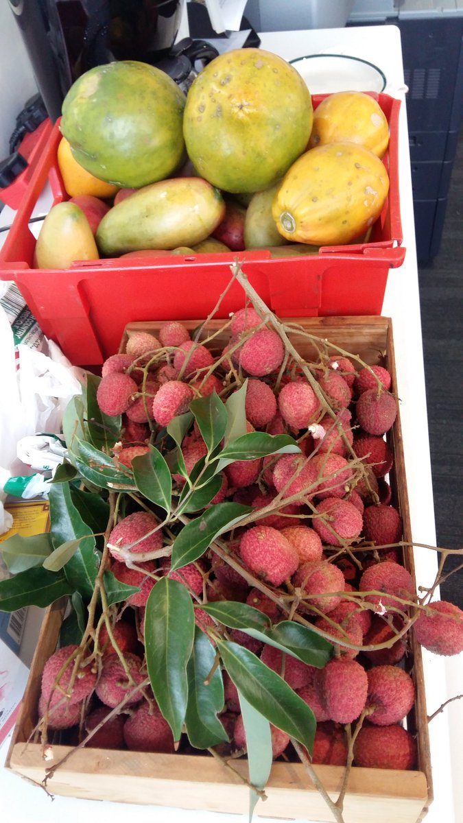 Ingredients of the future