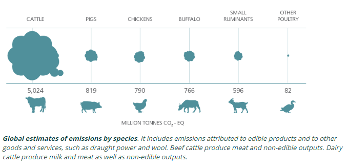 Scientists have a new suggestion to create more climate-friendly cows