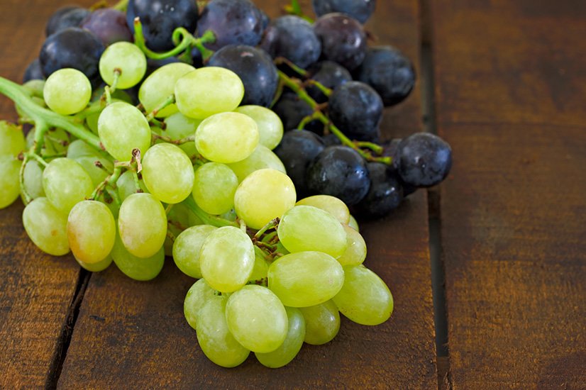 OVERVIEW GLOBAL TABLE GRAPE MARKET Feb 2019