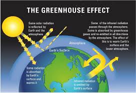 The ground exhales: reducing agriculture’s greenhouse gas emissions