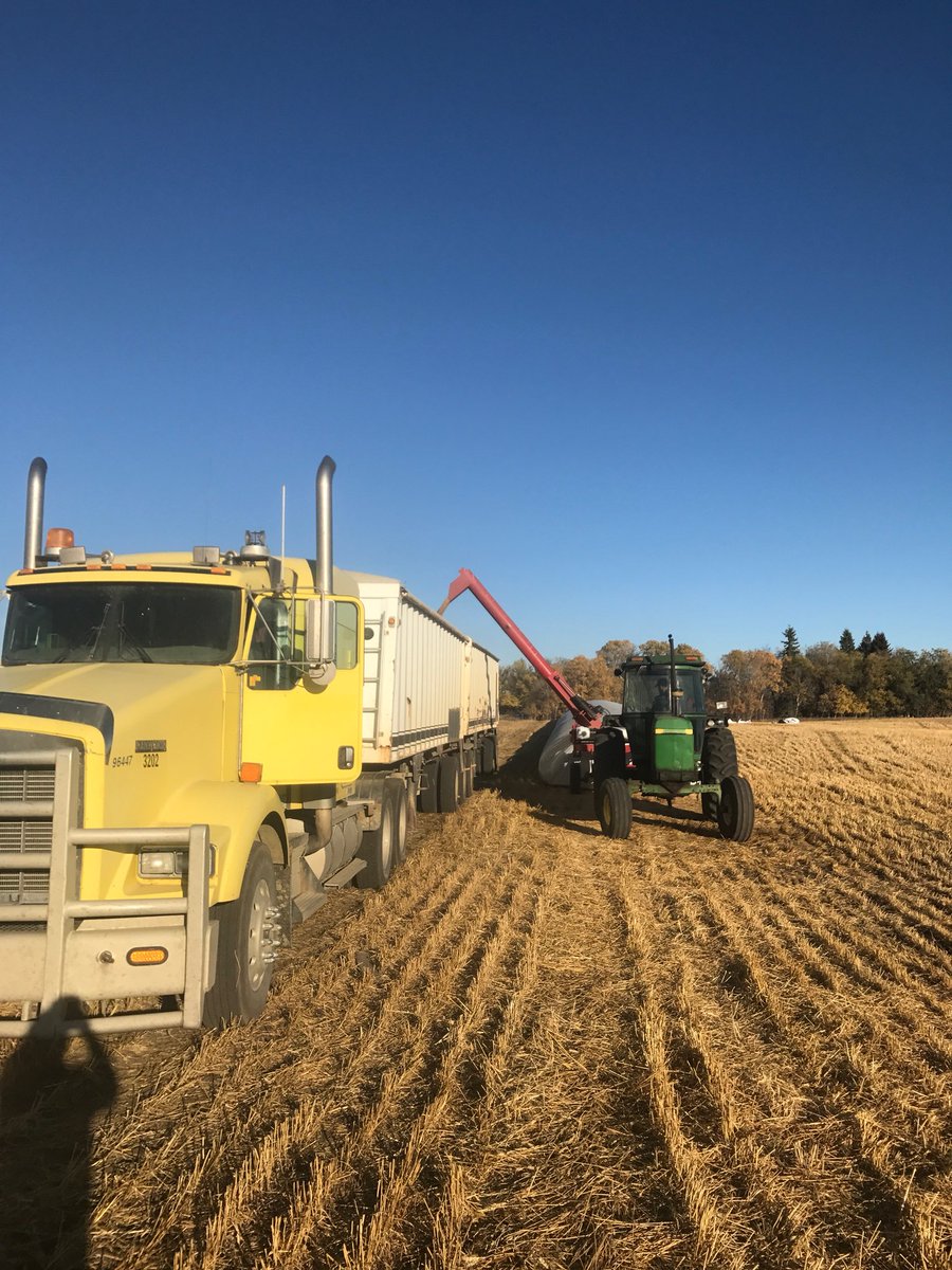 U.S. farmers begin 2018 soybean harvest