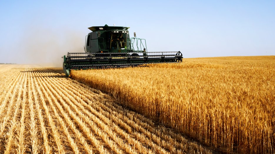 Australian wheat production, exports forecast to be lowest in 11 years