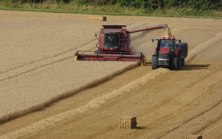 South African Agricultural Commodities Wrap 