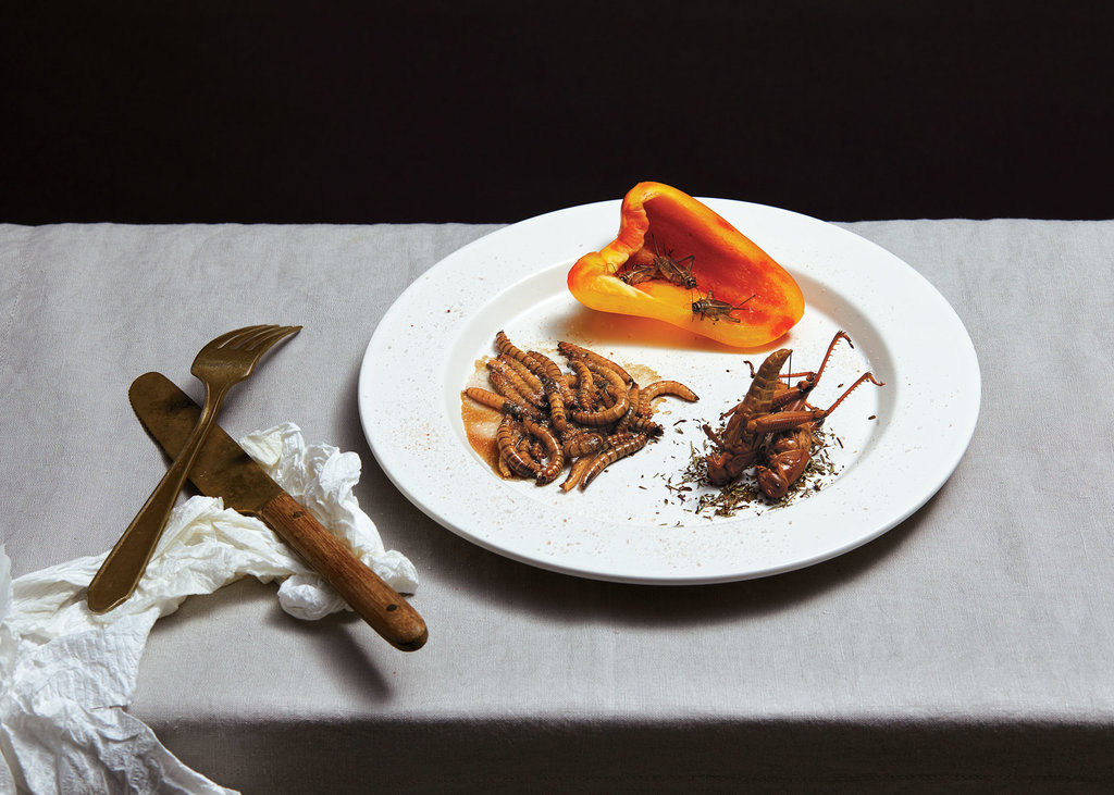 Why Aren’t We Eating More Insects?