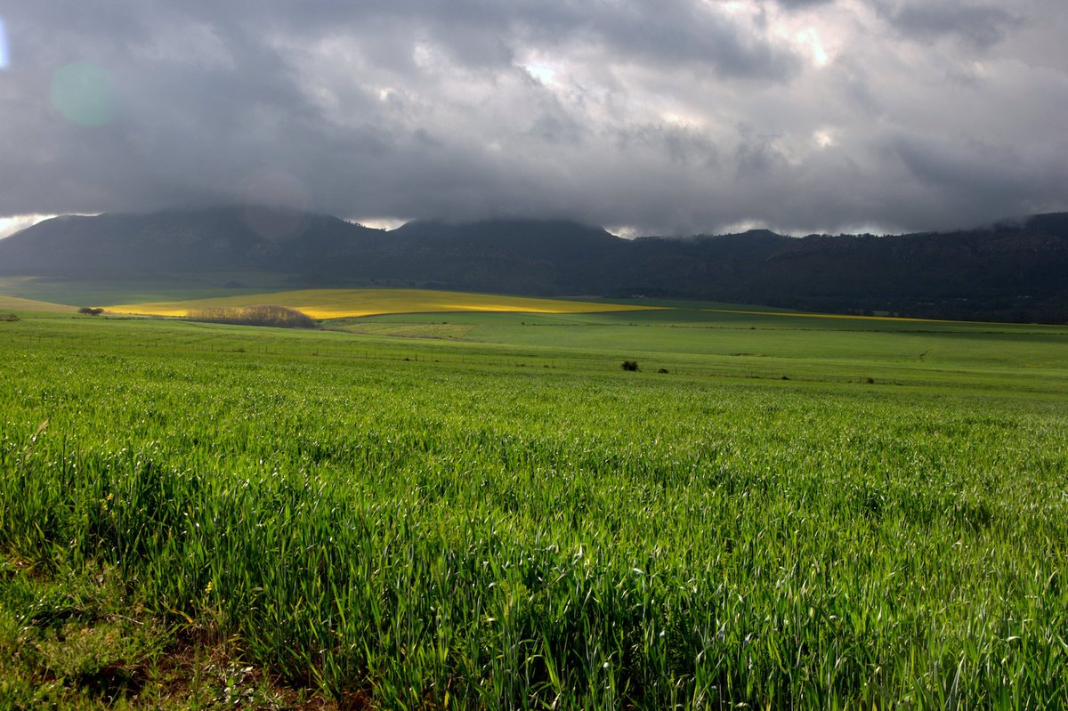 Land reform is necessary in South Africa- Report  