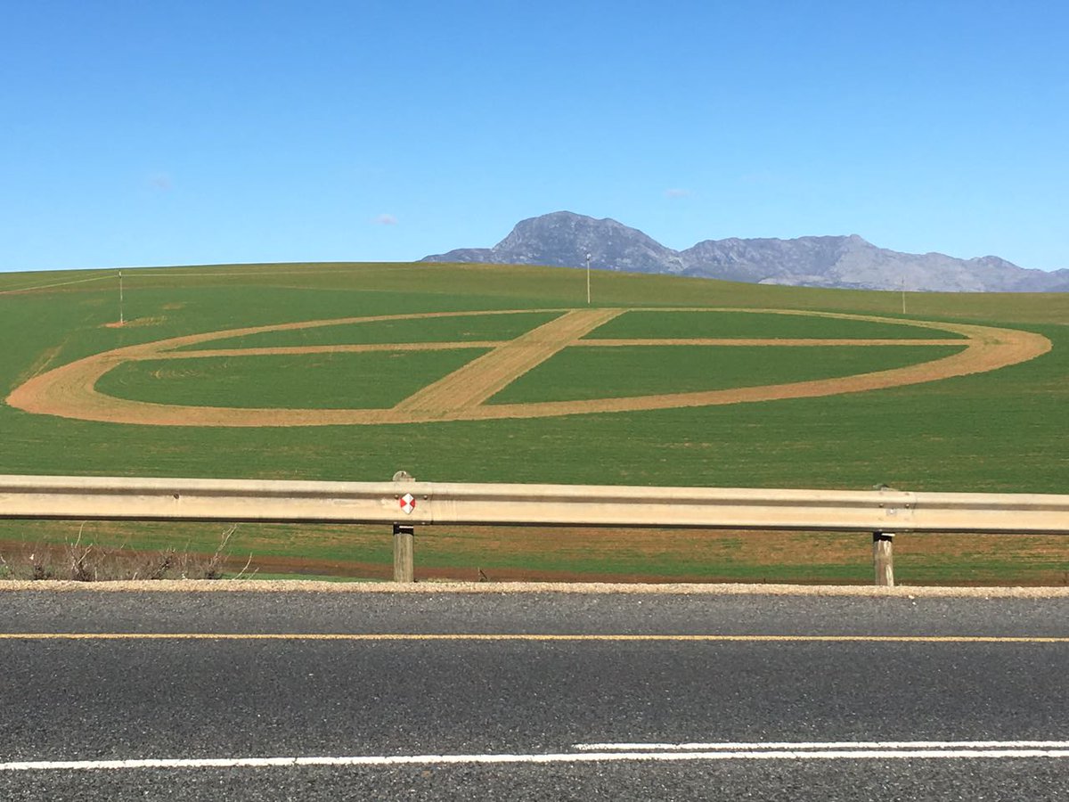 South Africa’s government has been buying land and leasing it to black farmers. Why it’s gone wrong and how to fix it