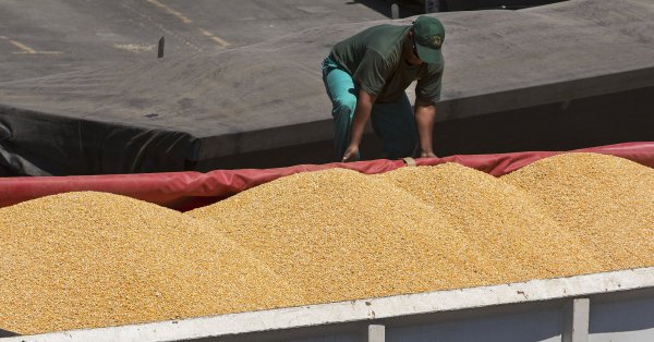 Drought-filled summer strains E.U. cereal harvest